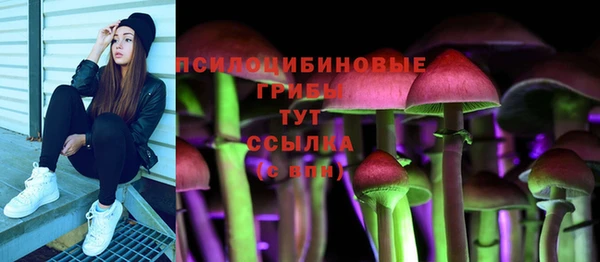 PSILOCYBIN Арсеньев