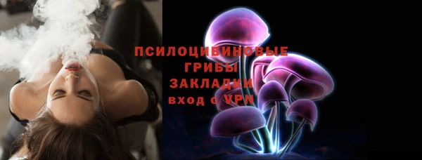 PSILOCYBIN Арсеньев