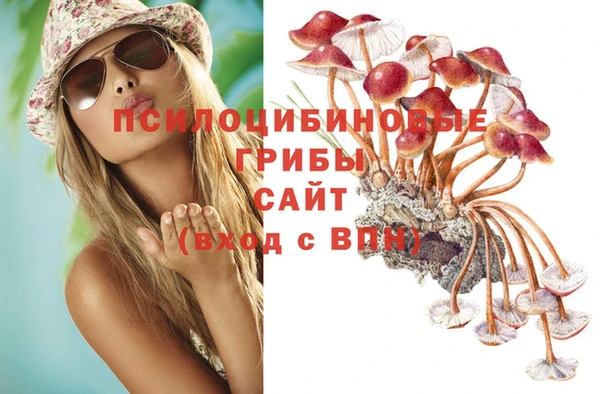марки lsd Аркадак