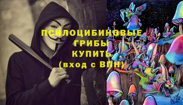 ALPHA PVP Армянск